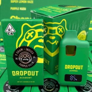 Dropout 3g