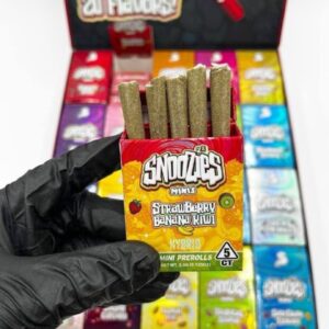 Snoozies Minis By Snooze (Authentic):
